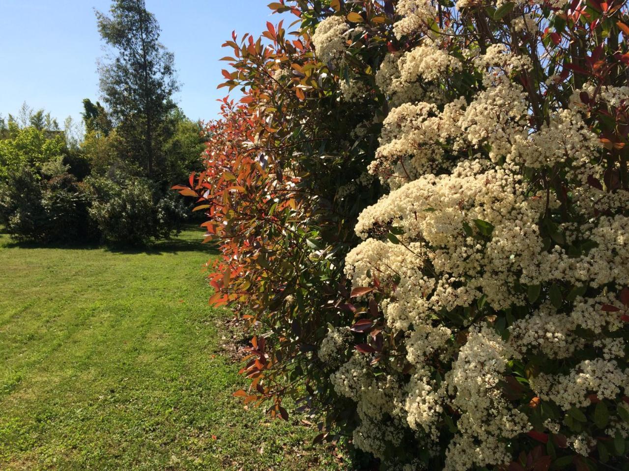 La Villa Bolero Saint-Cyr-sur-Loire Εξωτερικό φωτογραφία